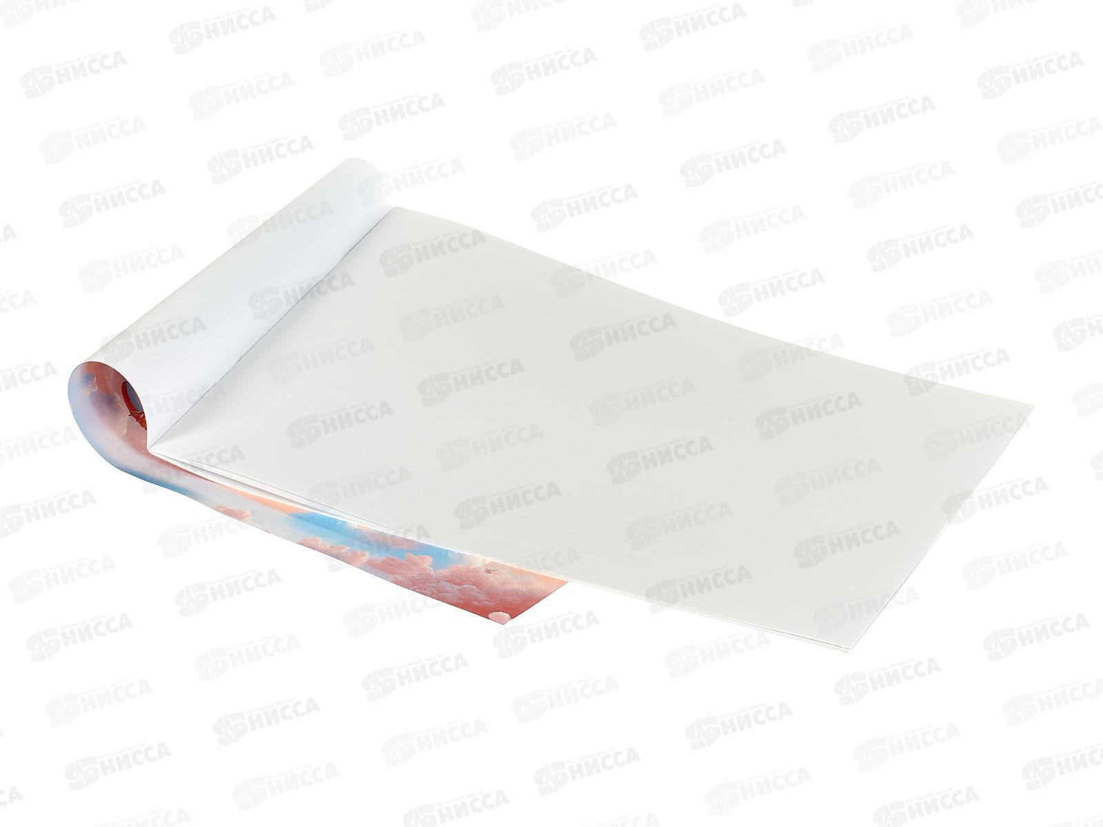 Альбом д/рис.12л ПП Нежные пушистики, 2диз., 12-7278 *100