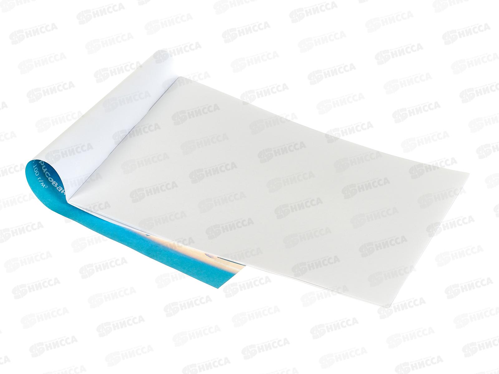 Альбом для рисования 12л ПП Озорные еноты, 12-7246 *100