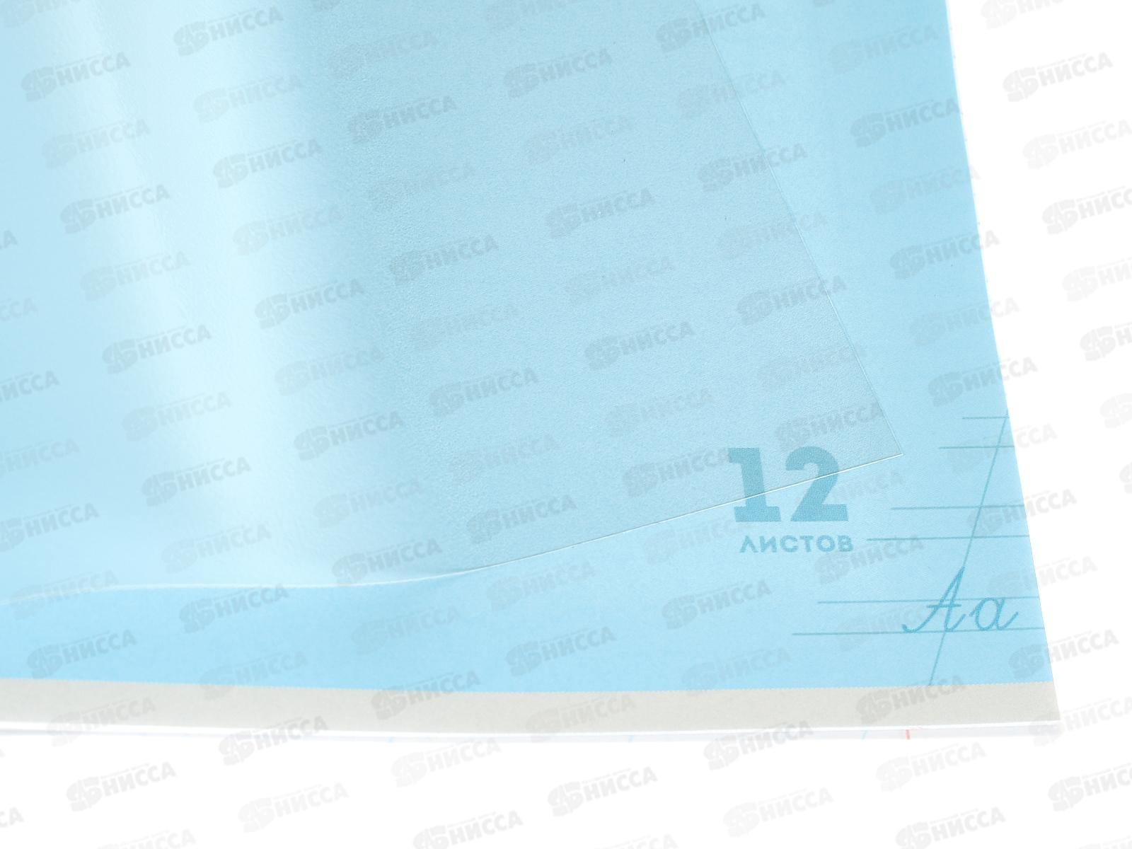 Тетрадь 12л косая линия ПП Классика NEW Голубая, 12-1420 *10/240