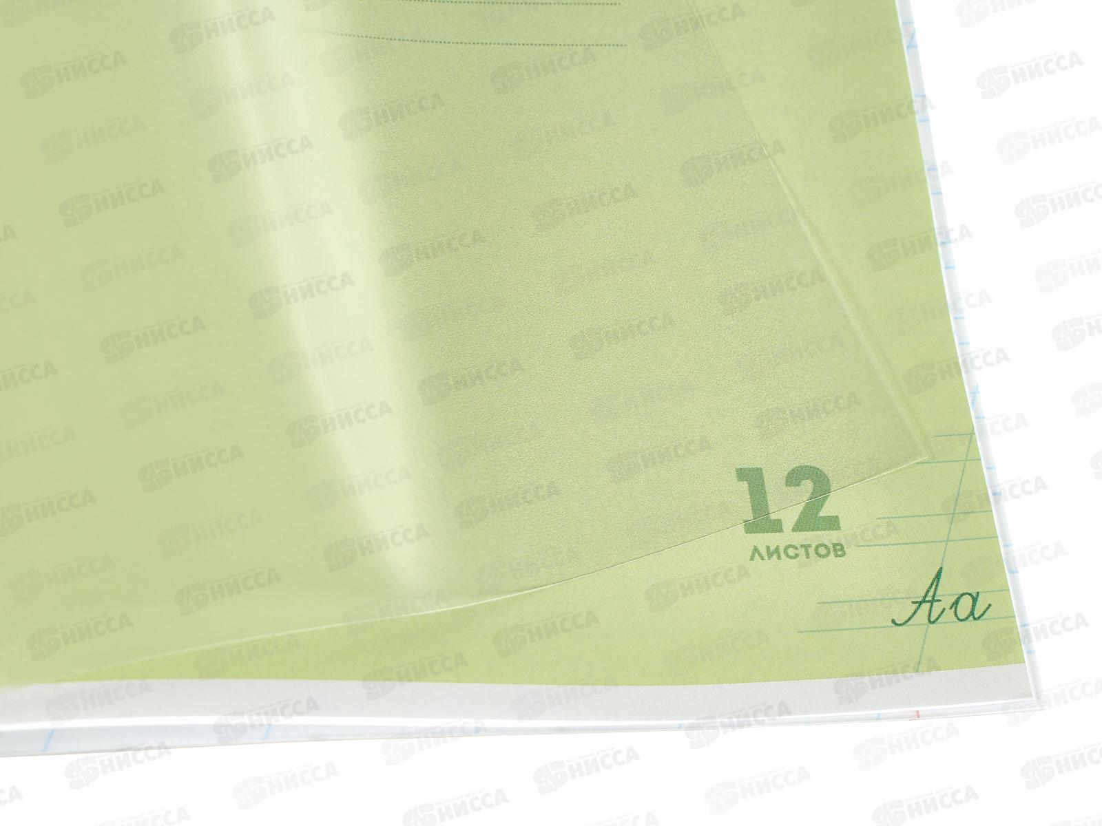 Тетрадь 12л косая линия ПП Классика NEW Салатовая, 12-1423 *10/240