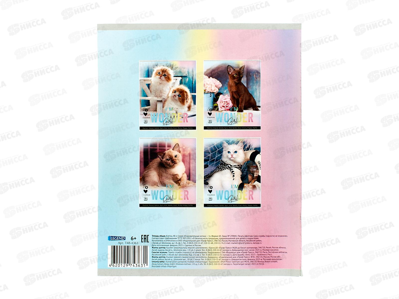 Тетрадь 48л клетка Legend Очаровательные котики, мел.обл., Т48-4363 *80