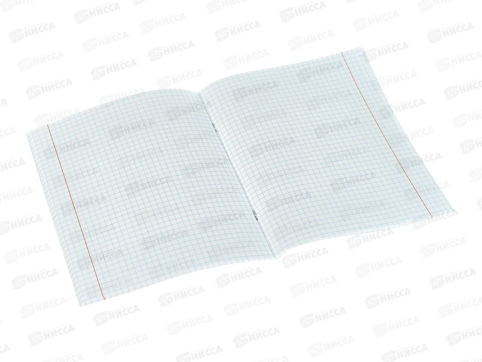 Тетрадь 48л клетка Profit Атмосферное виды, 48-5715  *10/100