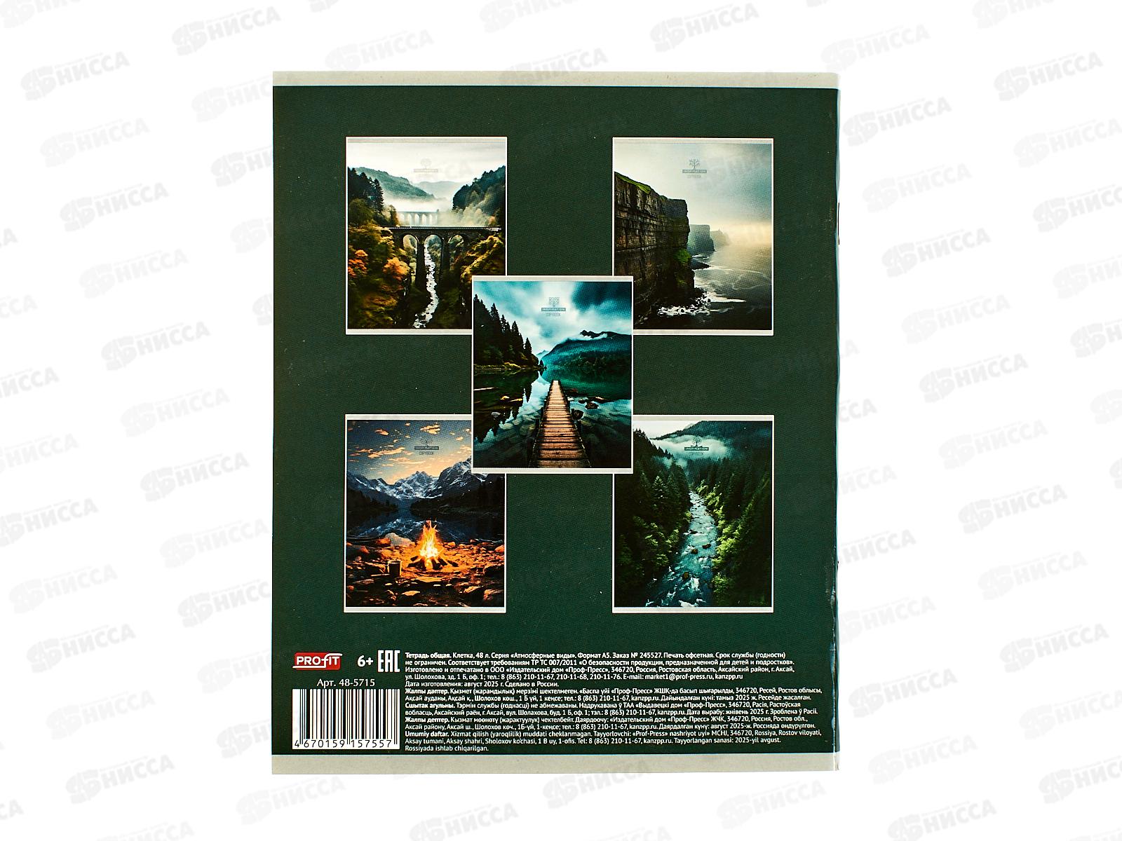 Тетрадь 48л клетка Profit Атмосферное виды, 48-5715  *10/100