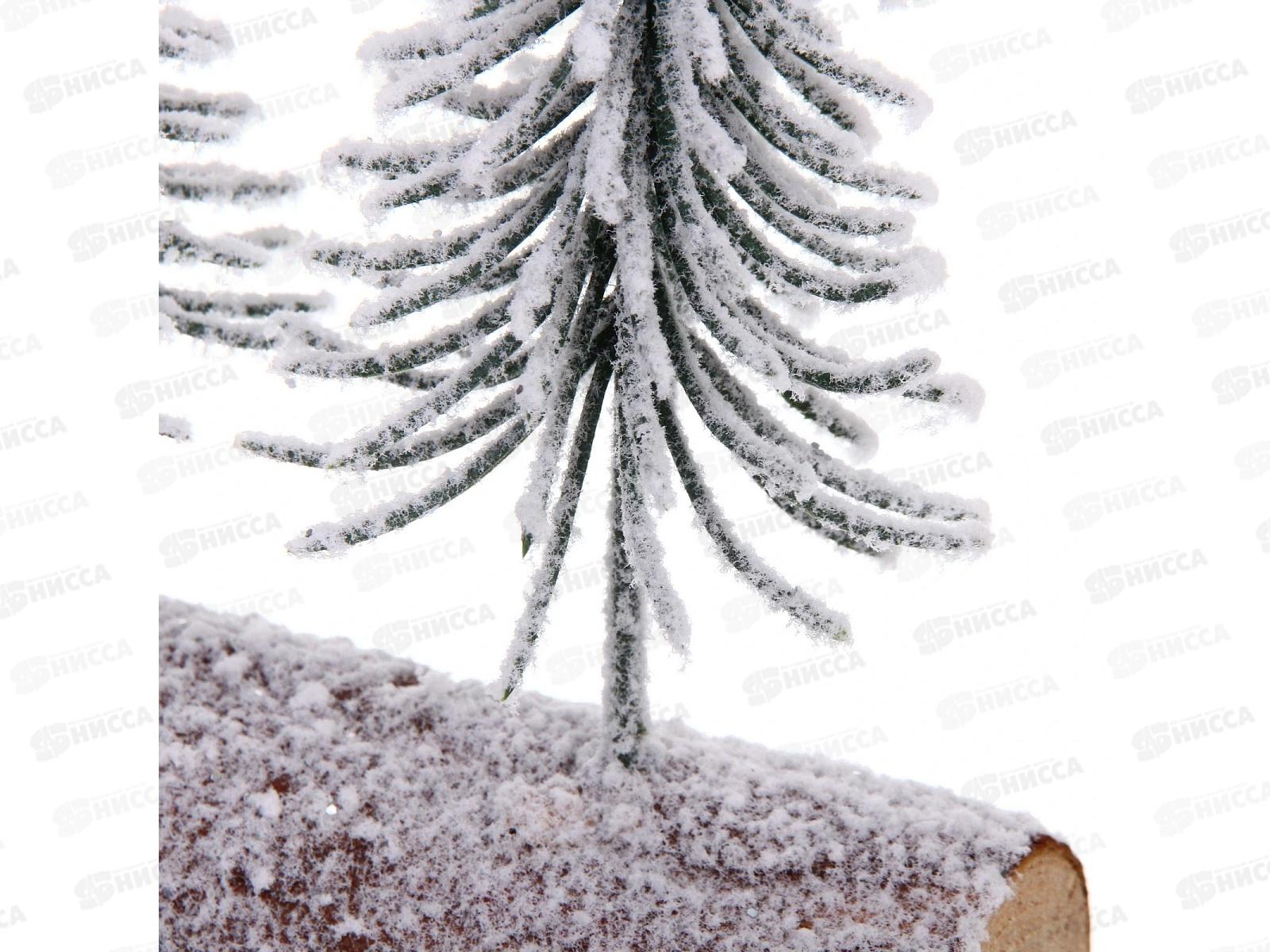 Хвойная композиция &quotСнежная зима&quot 19*9*23см 848-454