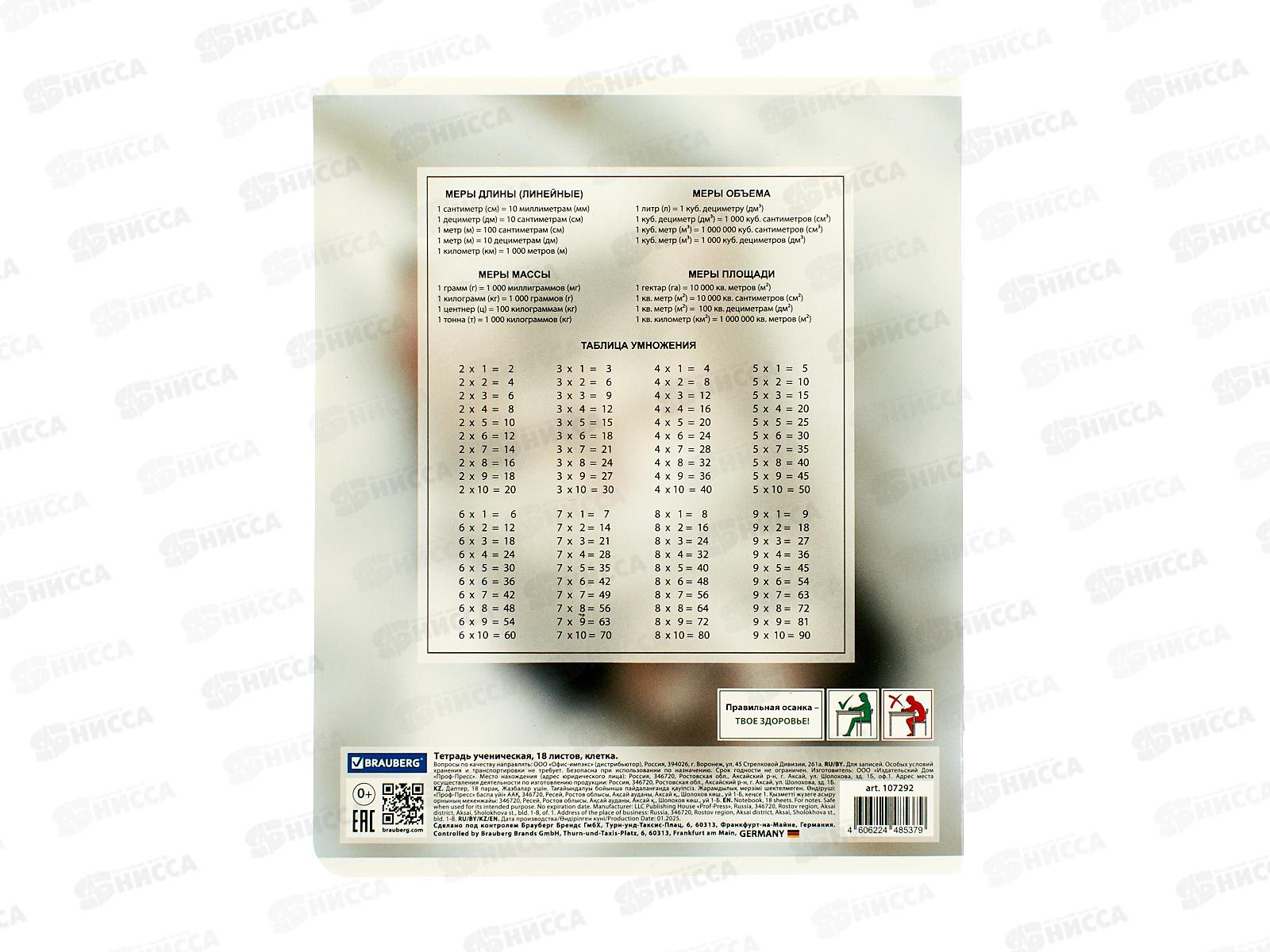 Тетрадь 18л кл. BRAU Котята 107292  *20/200