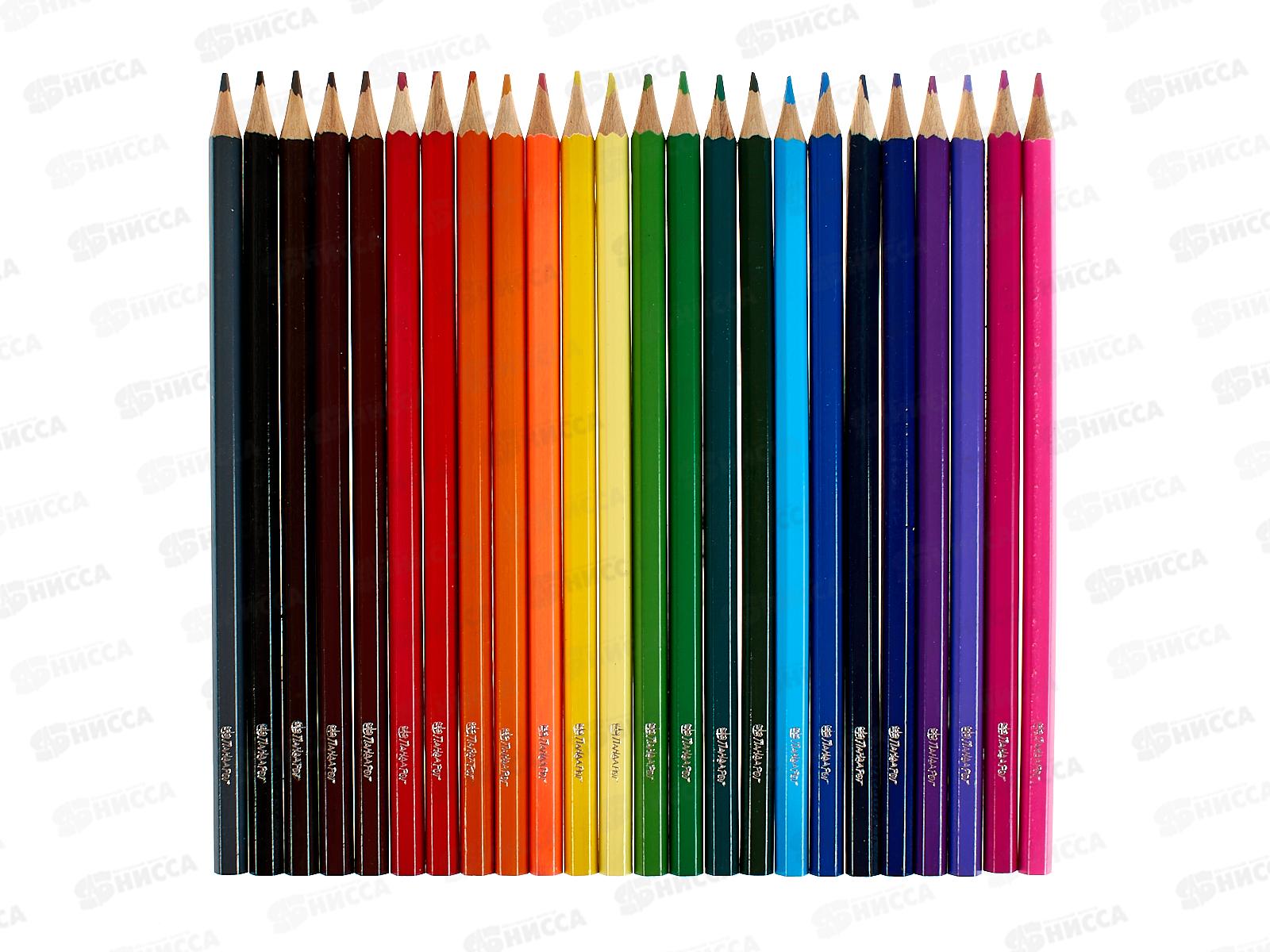 Карандаши 24цв ПандаРог &quotФутбол&quot деревянные, 15-3158 *6/120