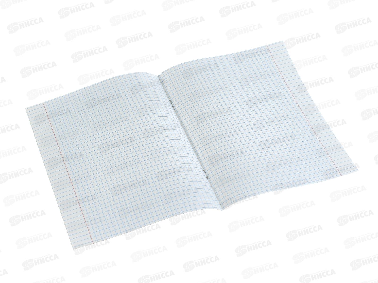 Тетрадь 12л клетка ПандаРог, плас. прозр. обложка, голубая, 15-7873  *120