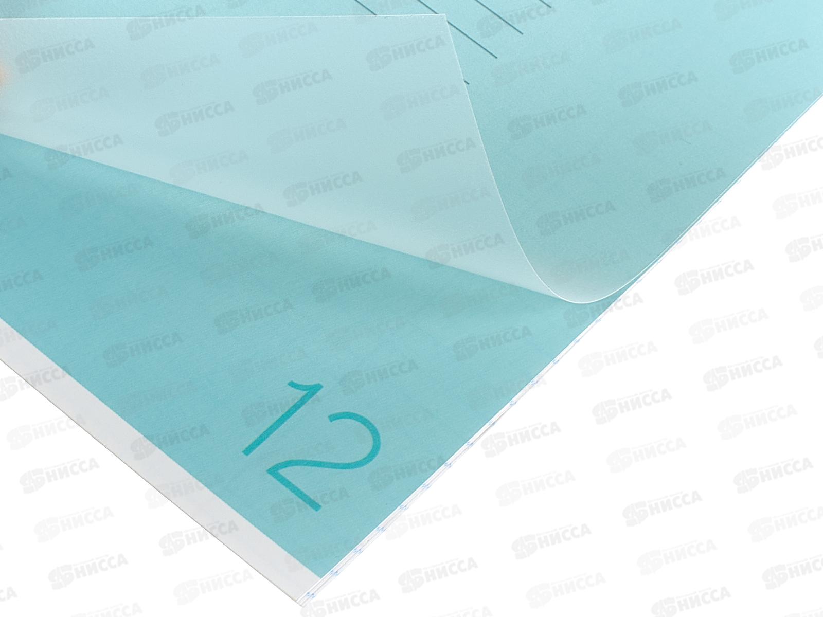 Тетрадь 12л клетка ПандаРог, плас. прозр. обложка, голубая, 15-7873  *120