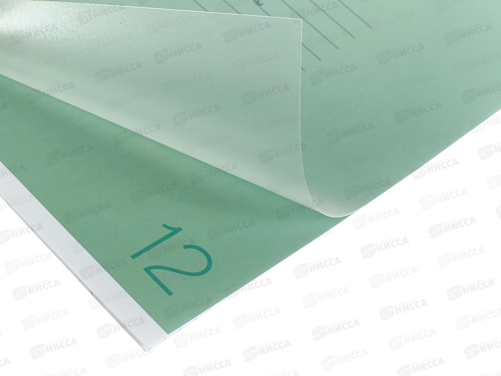 Тетрадь 12л клетка ПандаРог, плас. прозр. обложка, зеленая, 15-7872  *120