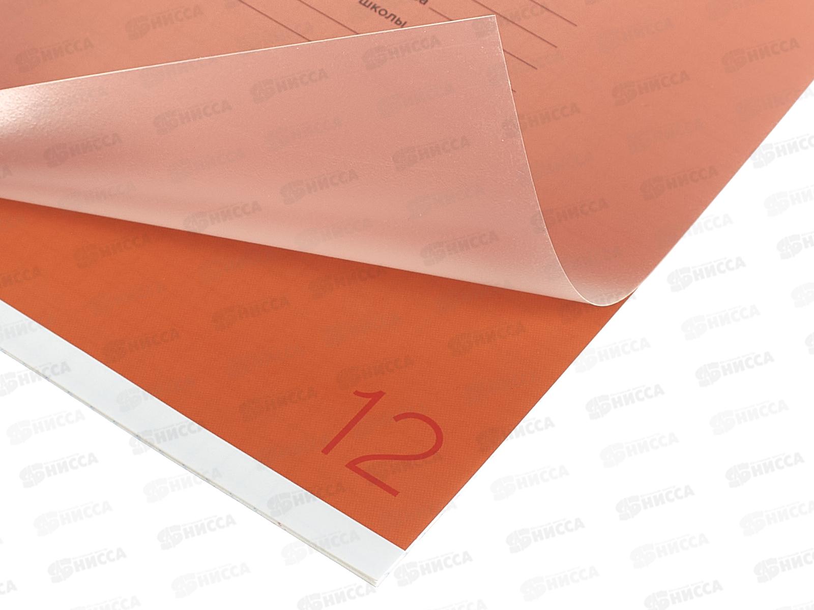 Тетрадь 12л кл. ПандаРог, плас. прозр. обложка, оранж., 15-7874  *120