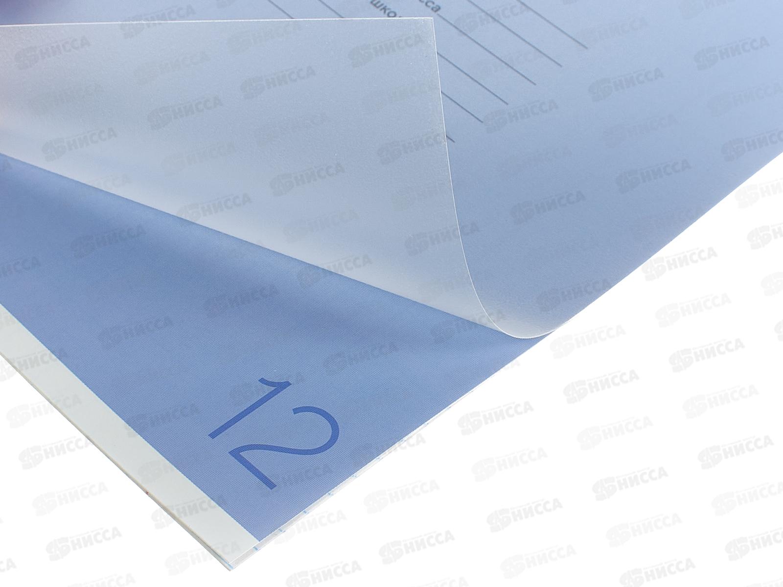 Тетрадь 12л кл. ПандаРог, плас. прозр. обложка, фиолет., 15-7876  *120