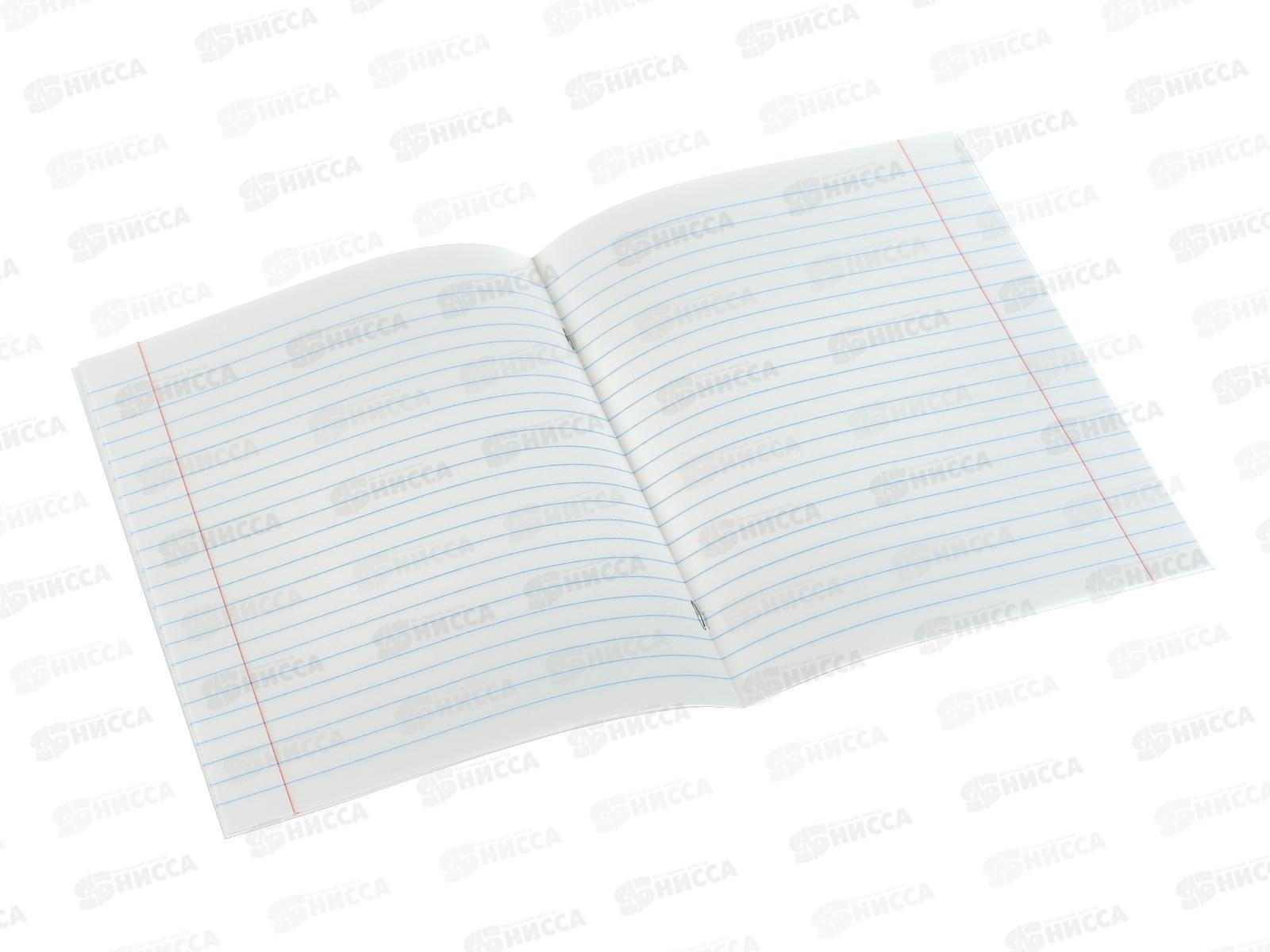 Тетрадь 12л линия ПандаРог, голубая, 15-3704  *300