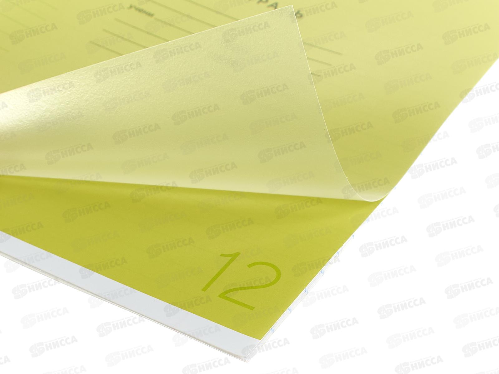 Тетрадь 12л лин. ПандаРог, плас. прозр. обложка, желтая, 15-7890  *120