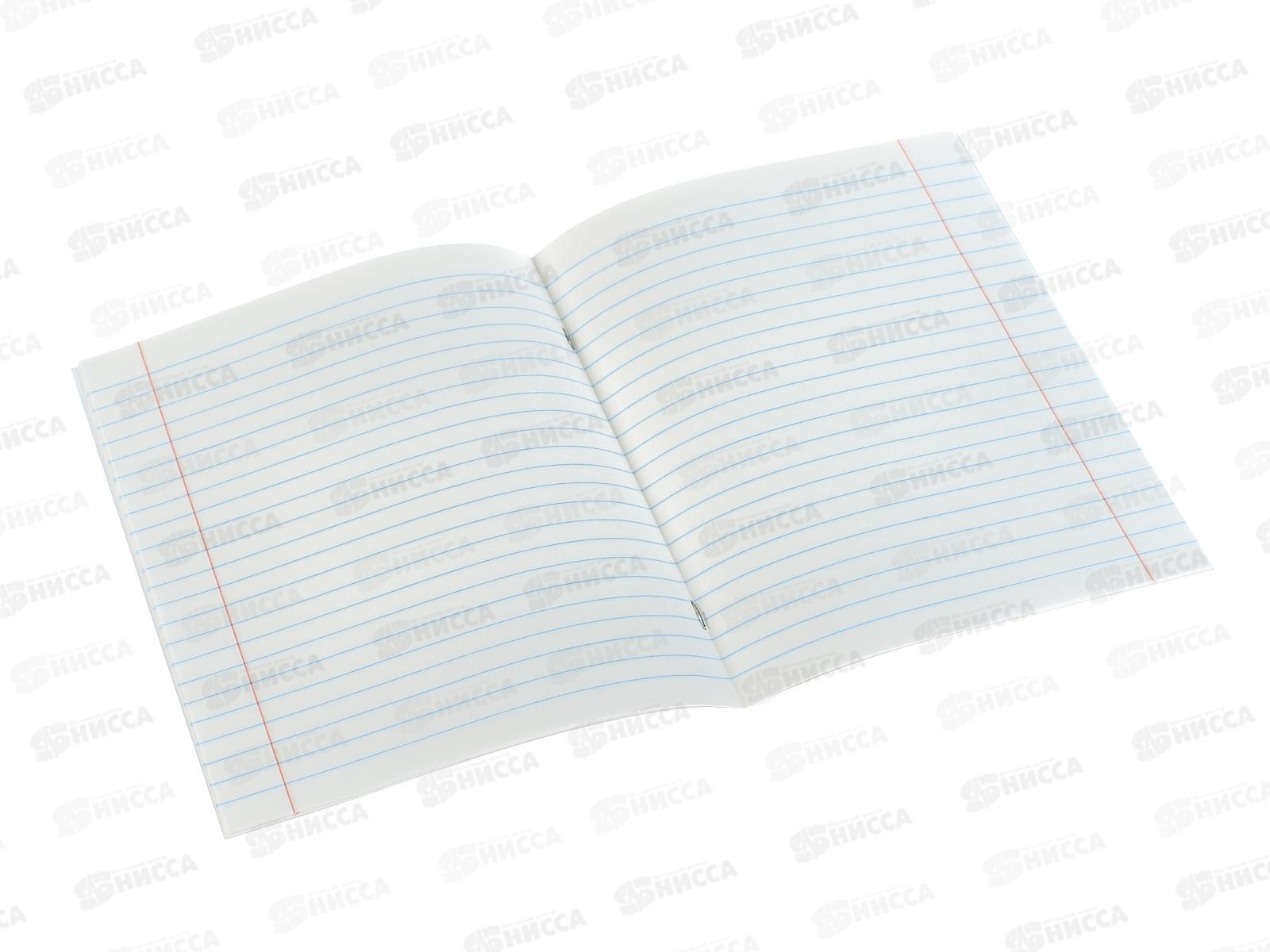 Тетрадь 12л лин. ПандаРог, плас. прозр. обложка, зеленая 15-7887  *120