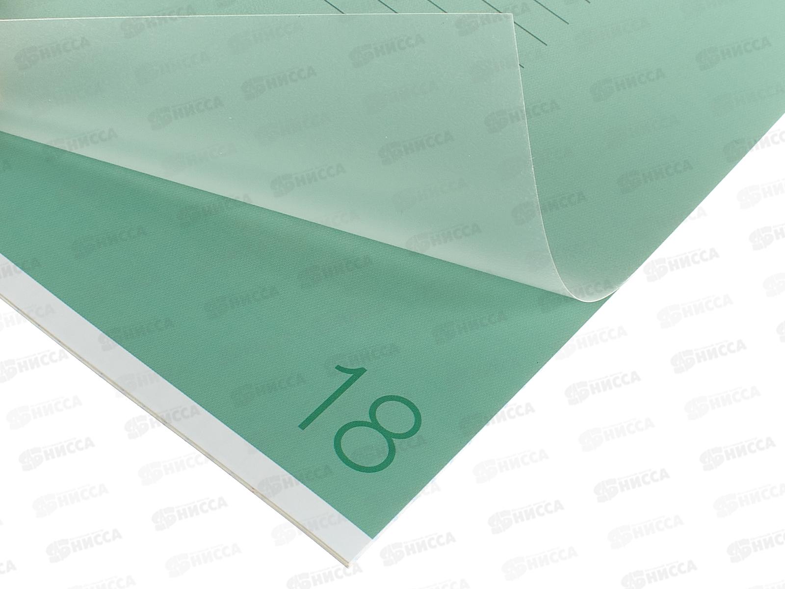 Тетрадь 18л кл. ПандаРог, плас. прозр. обложка, зеленая, 15-7877  *120