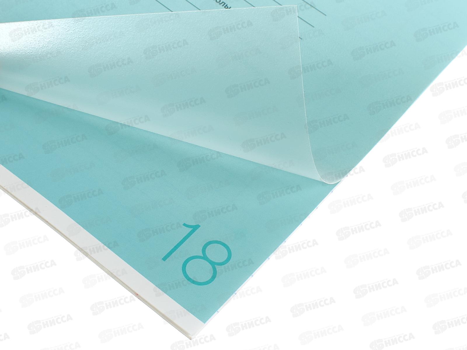 Тетрадь 18л лин. ПандаРог, плас. прозр. обложка, голубая 15-7893  *120