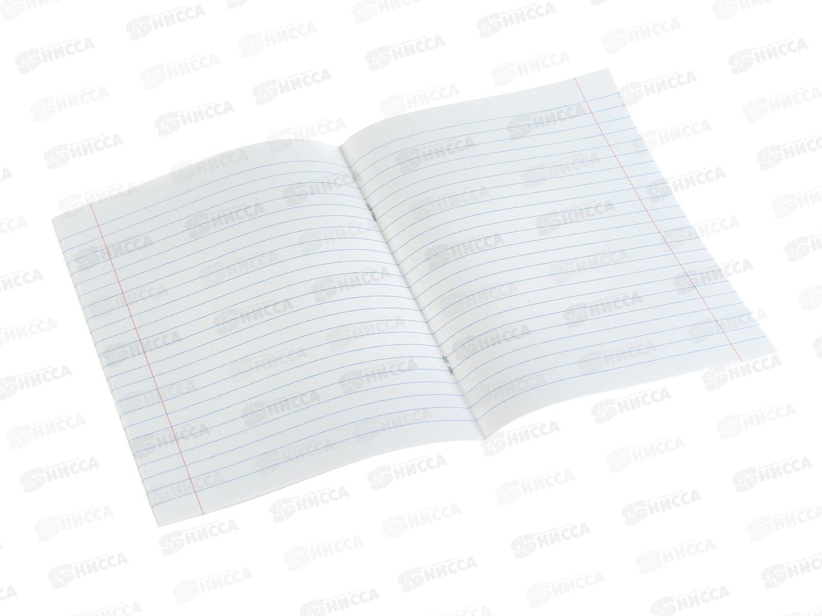 Тетрадь 18л лин. ПандаРог, плас. прозр. обложка, желтая 15-7895  *120