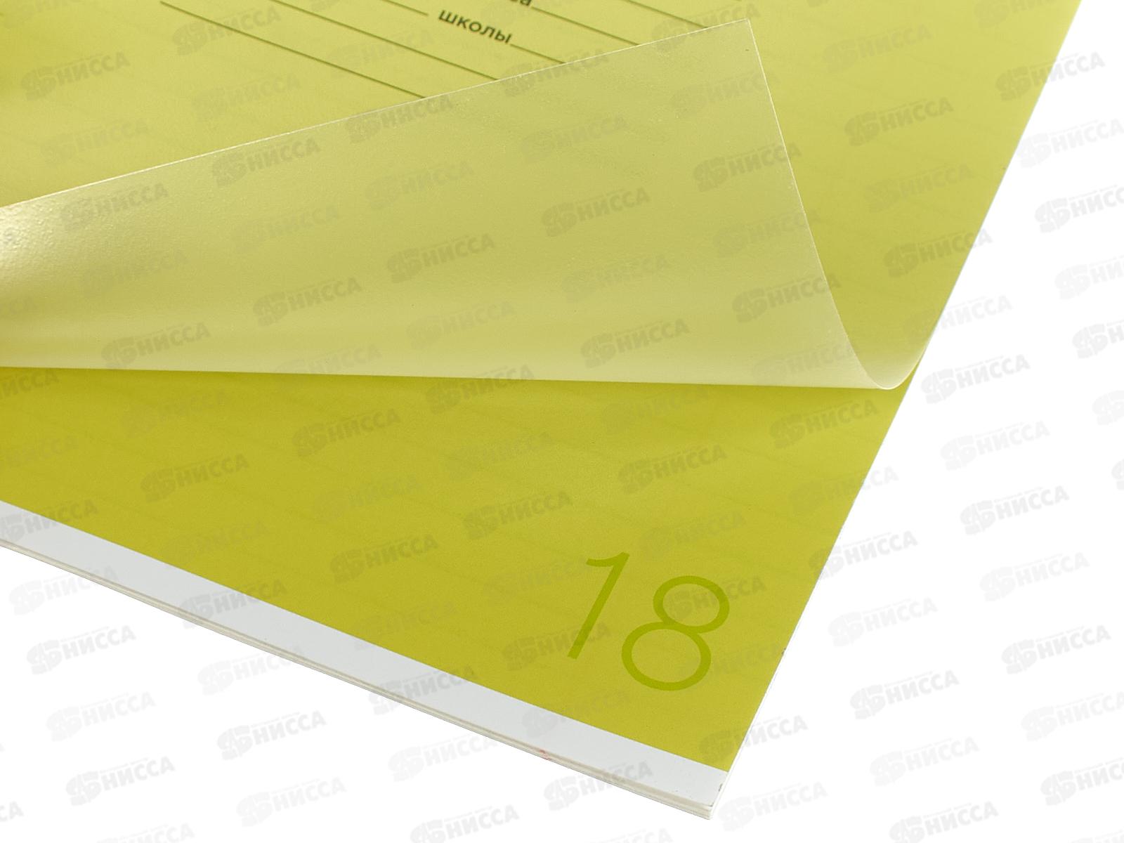 Тетрадь 18л лин. ПандаРог, плас. прозр. обложка, желтая 15-7895  *120