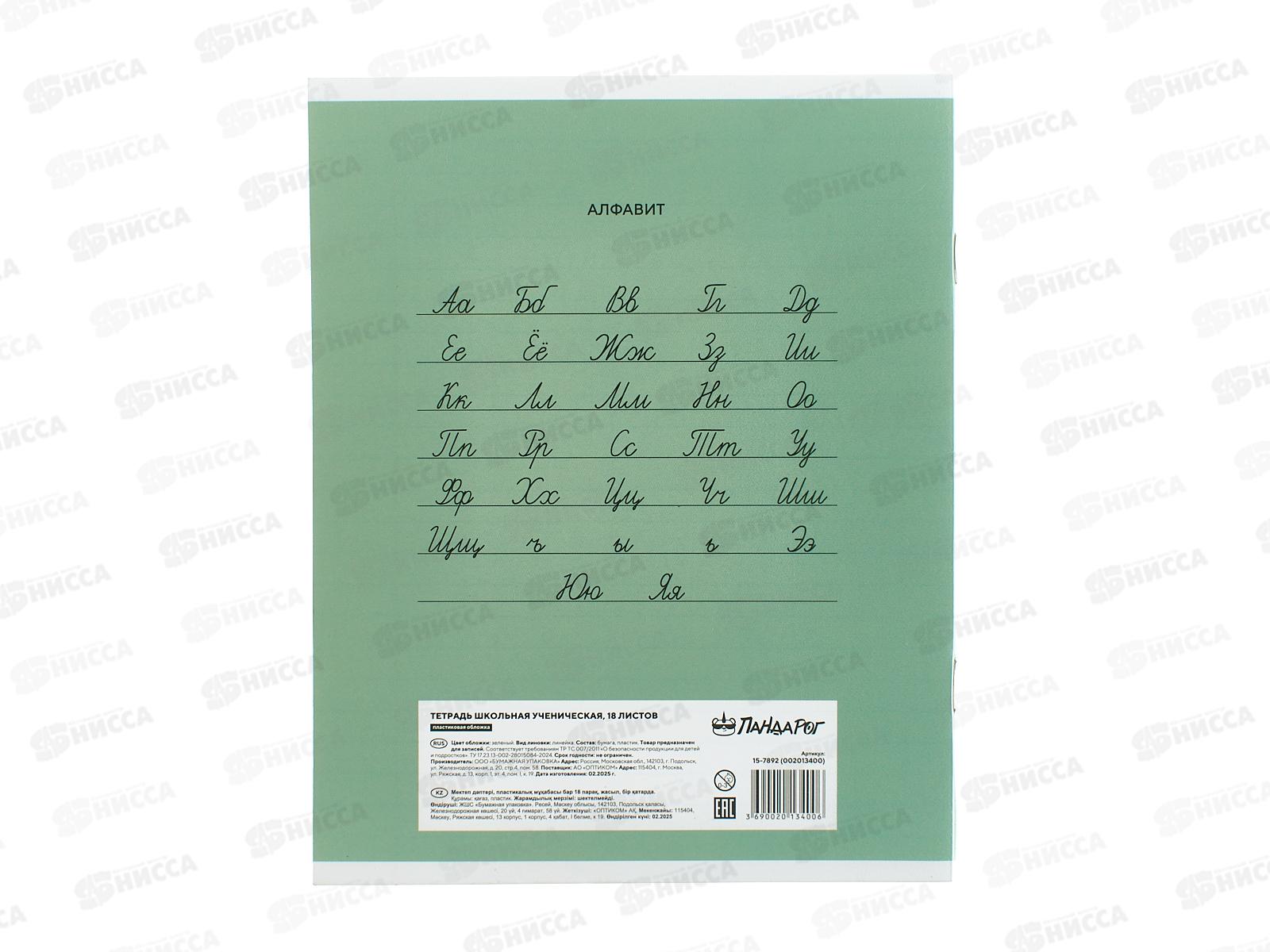 Тетрадь 18л лин. ПандаРог, плас. прозр. обложка, зеленая 15-7892  *120