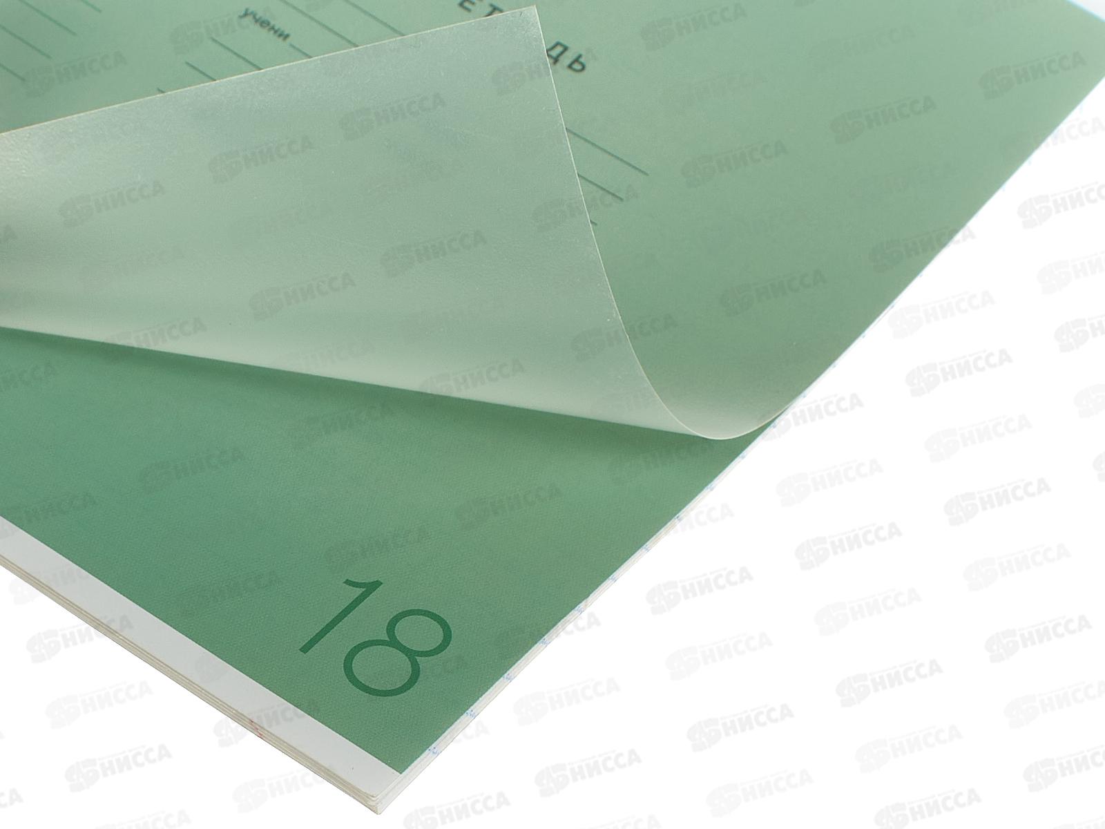 Тетрадь 18л лин. ПандаРог, плас. прозр. обложка, зеленая 15-7892  *120