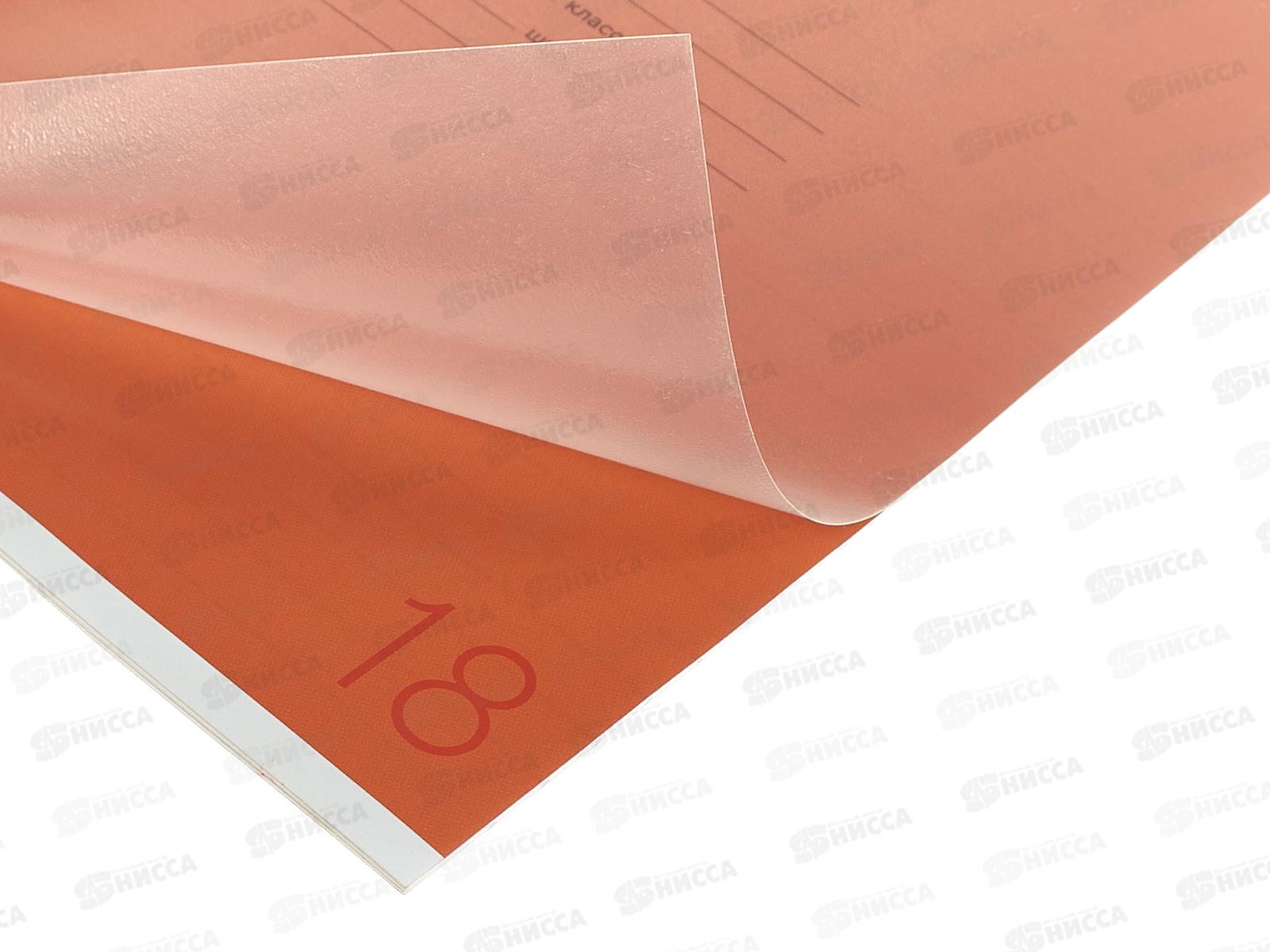 Тетрадь 18л лин. ПандаРог, плас. прозр. обложка, оранж. 15-7894  *120