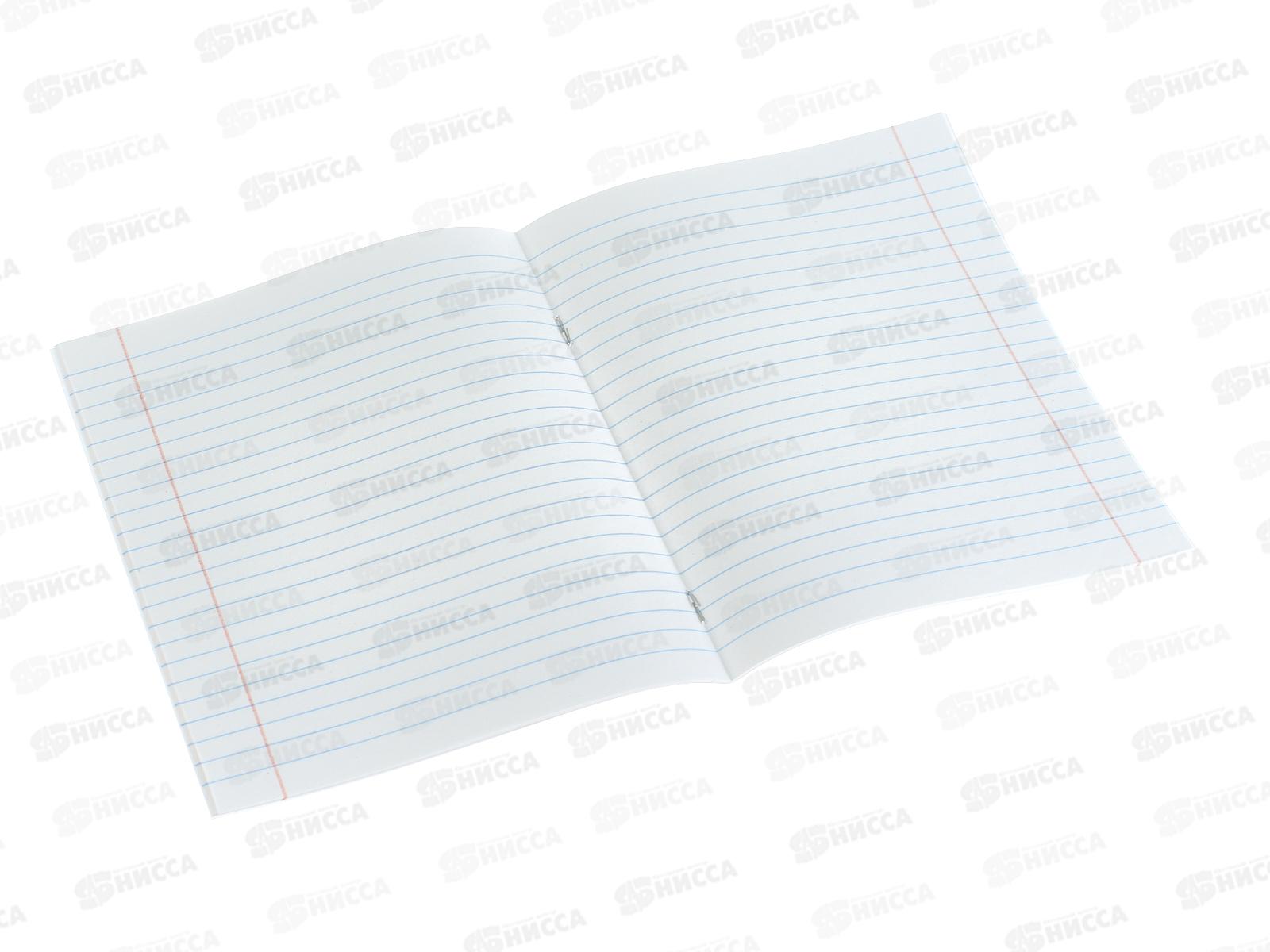 Тетрадь 24л лин. ПандаРог, голубая, 15-3714  *180