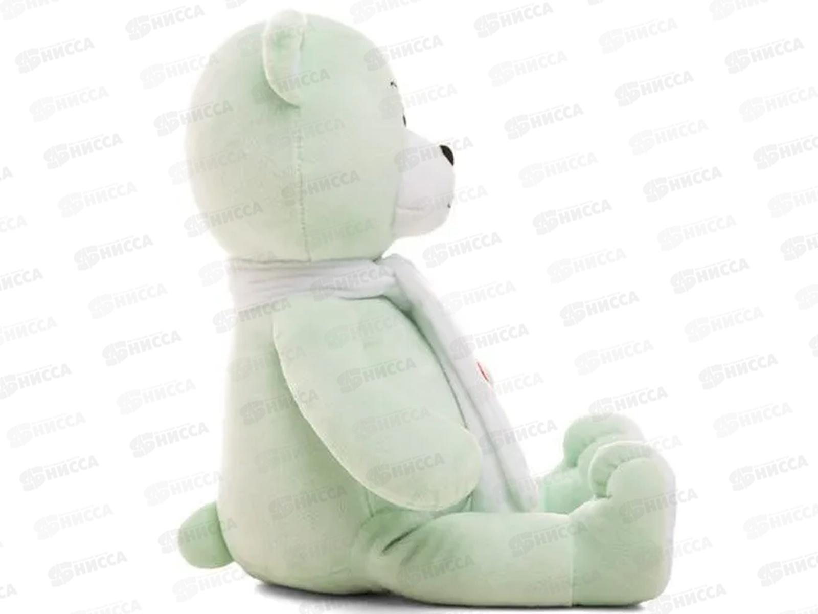 Медведь Боня, мятный, 30см (МБоня/30/12)