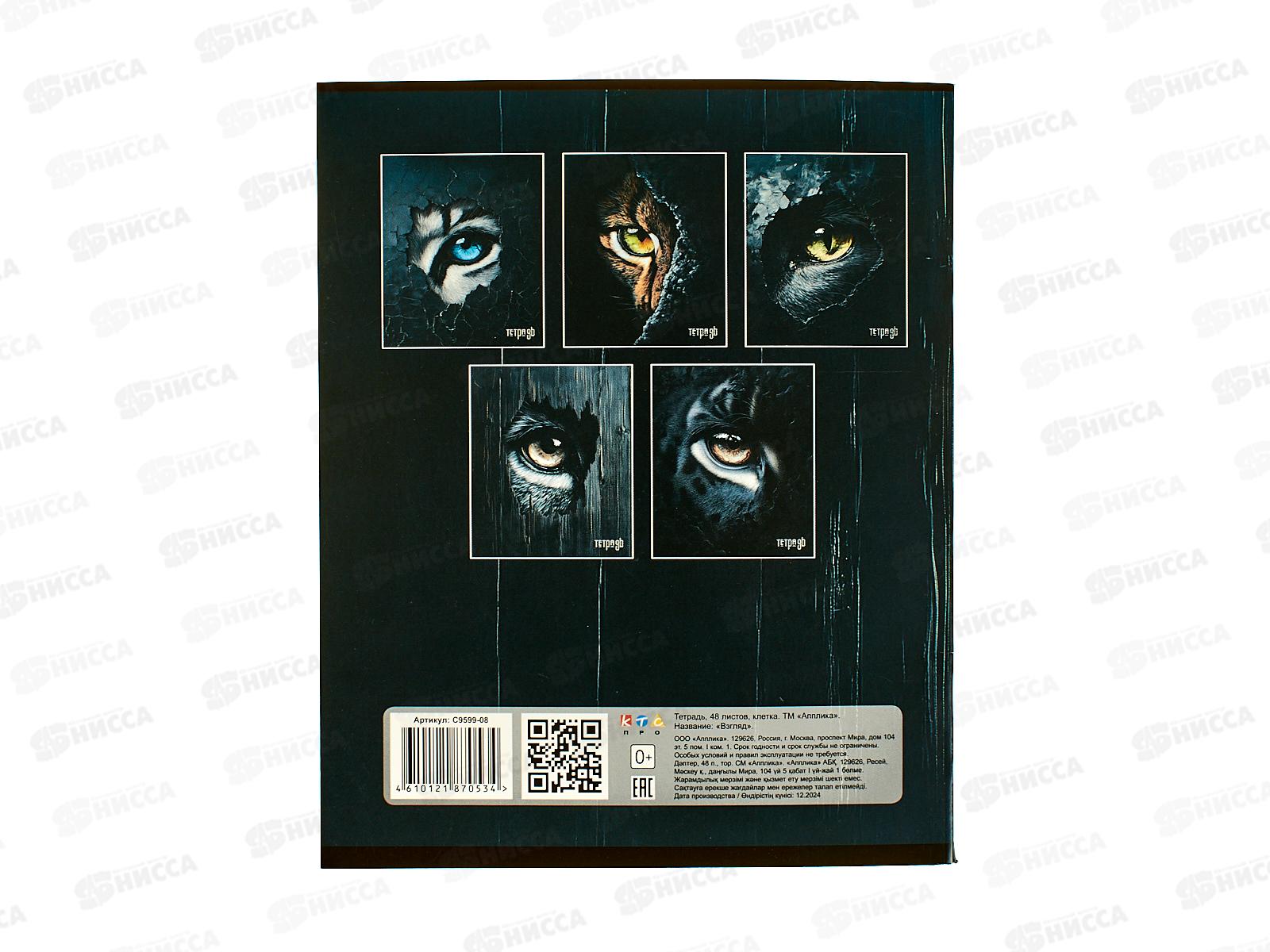 Тетрадь 48л кл. Апплика Взгляд С9599-08*80