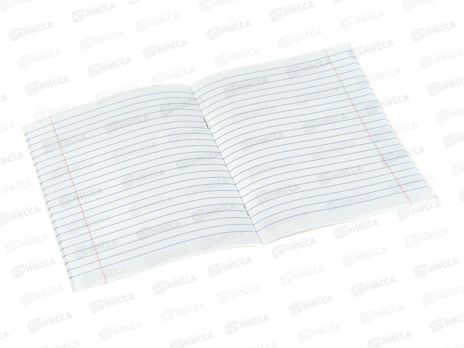 Тетрадь 48л лин. Апплика Донаты С2549-117 *80