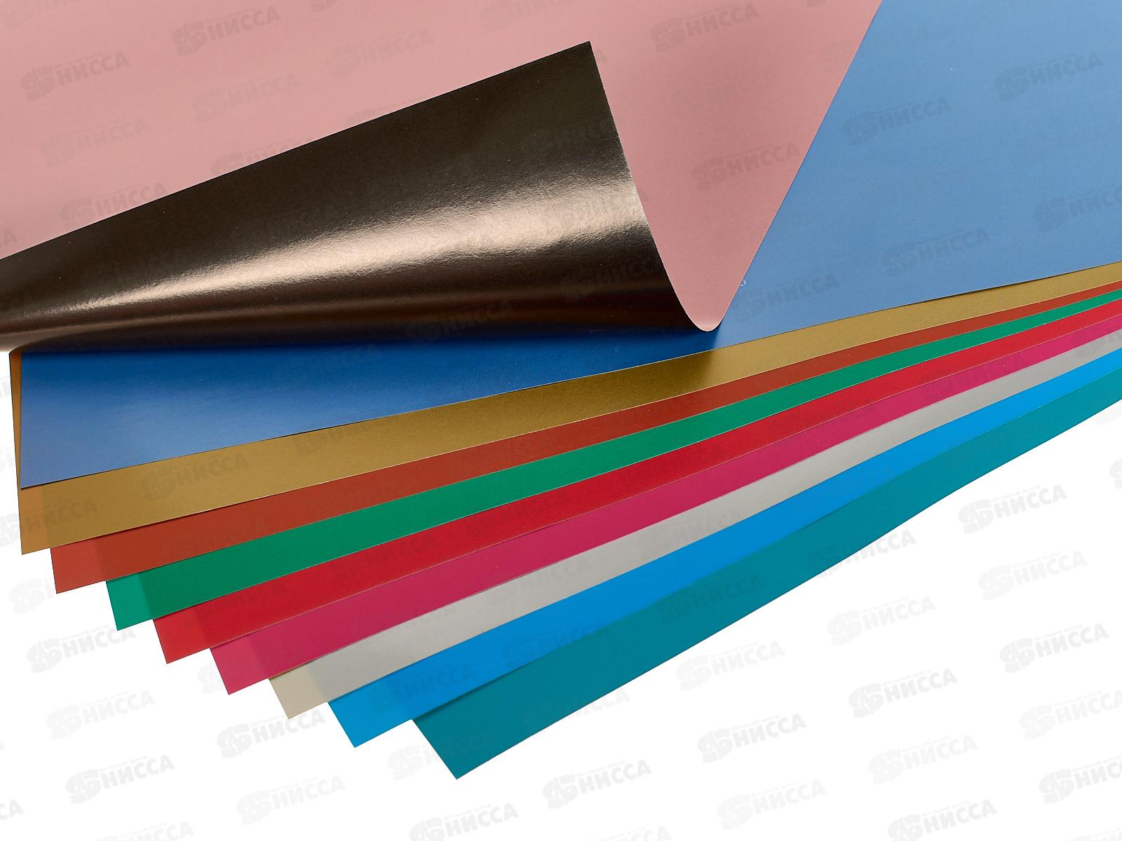 Цветная бум.  10л 20цв Апплика двуст. Лев ,С0385-10*60