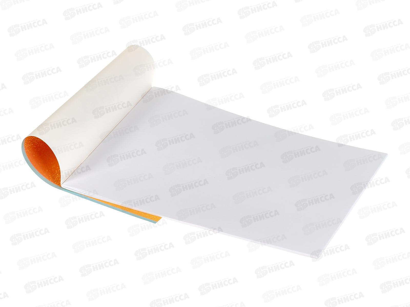 Альбом д/рис.24л ПЗБМ Котпучино,041726 *4/48