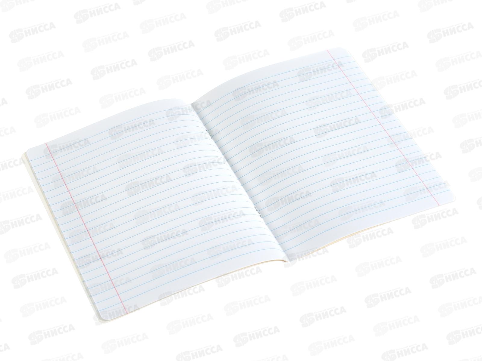 Тетрадь 12л лин. ПЗБМ Максик и Миша ,018676*20/120