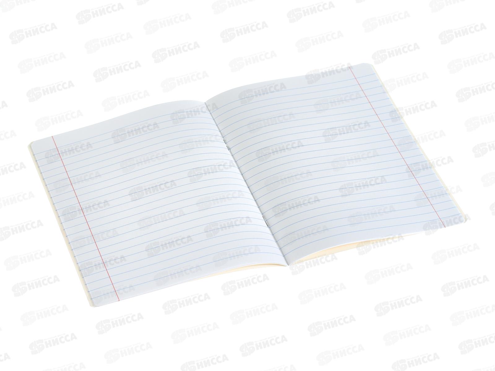 Тетрадь 18л лин. ПЗБМ Мальтипу 011412 *10/000