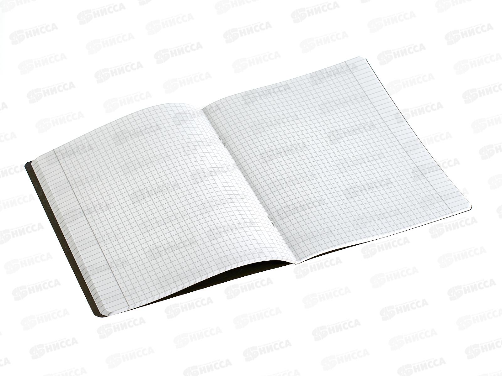 Тетрадь 48л кл. ПЗБМ Камень и металл,022143*5/50