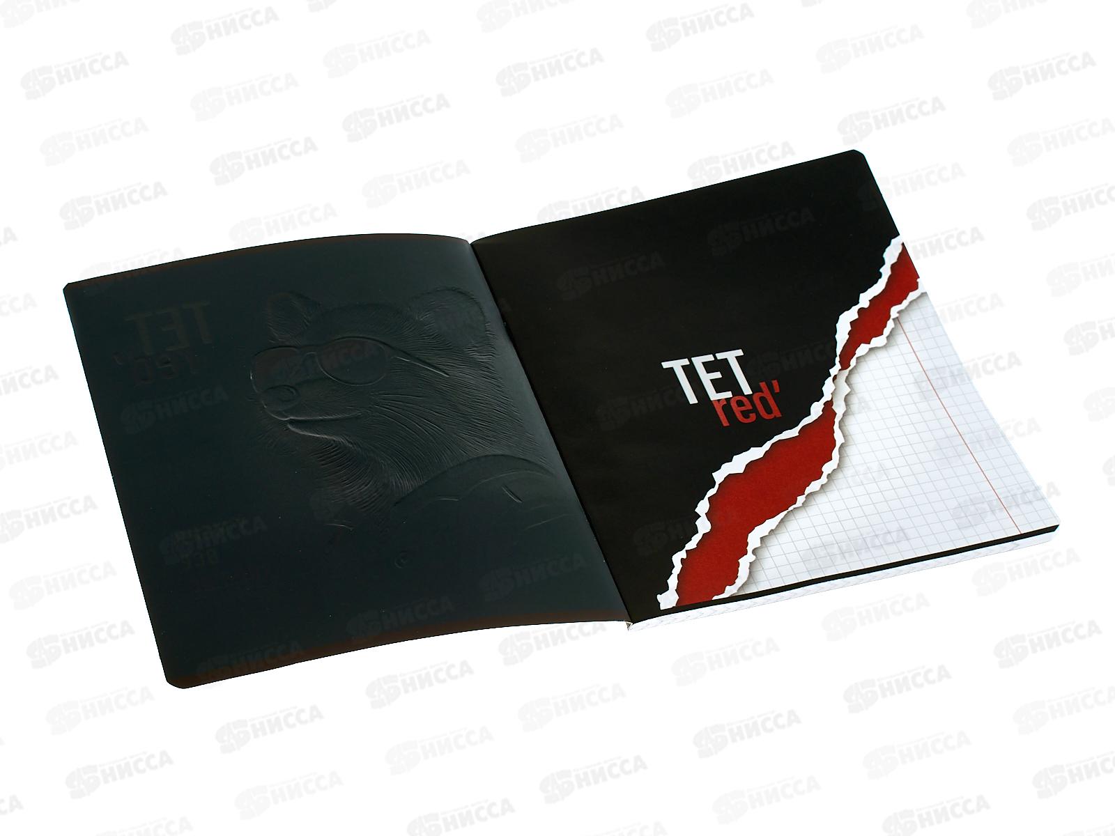 Тетрадь 48л кл. ПЗБМ ТетРейд,021481*5/50