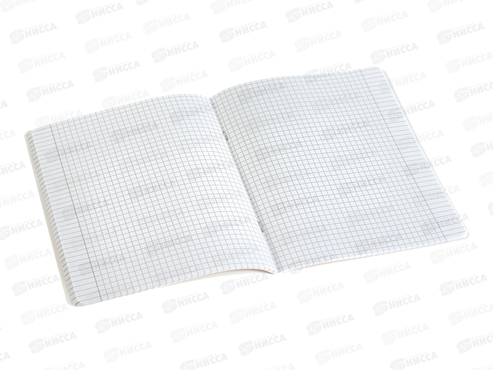 Тетрадь 48л кл. ПЗБМ Я Король!,021535*5/50