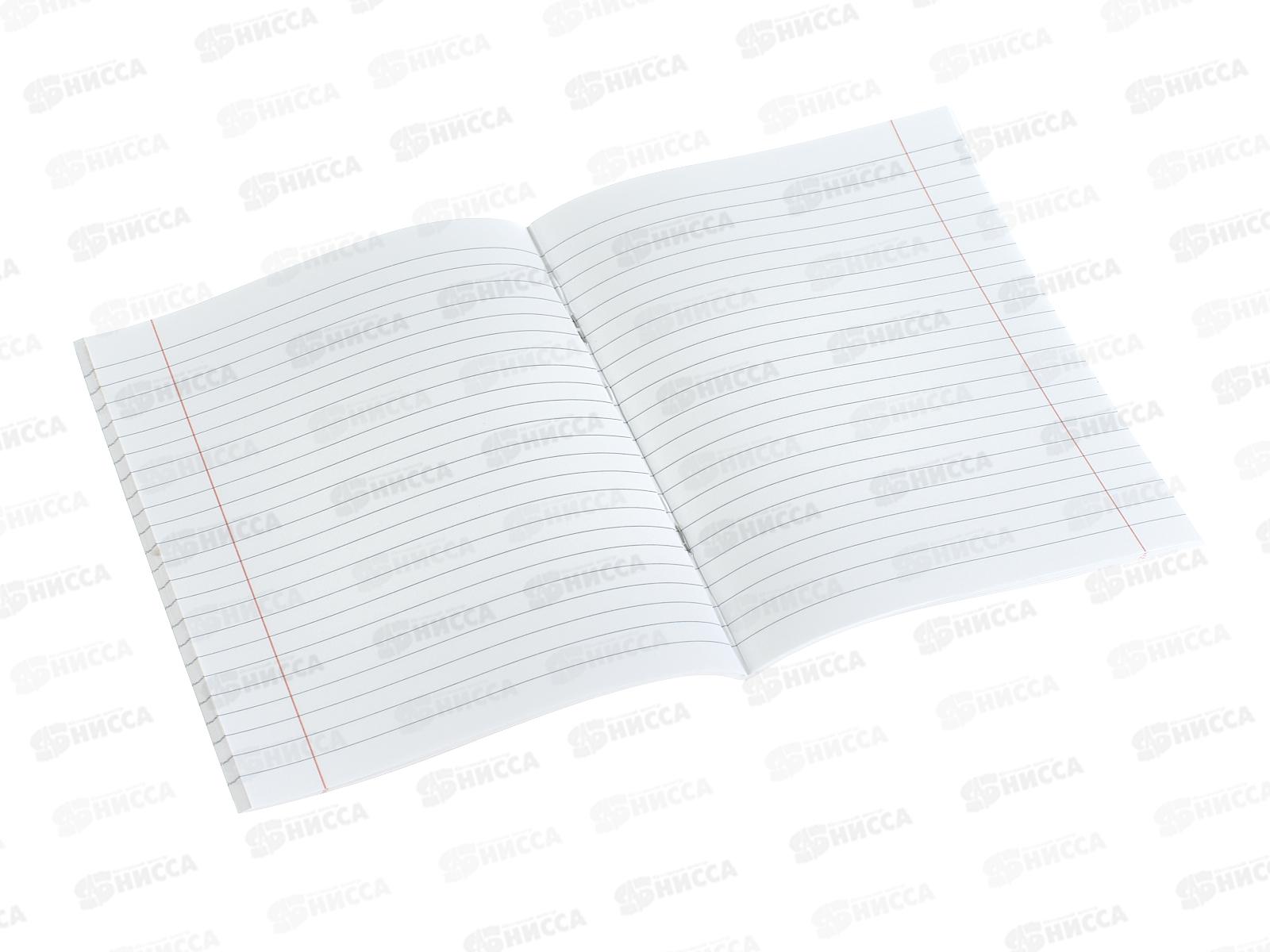 Тетрадь 48л лин. Hatber Котэ,091627*5/60