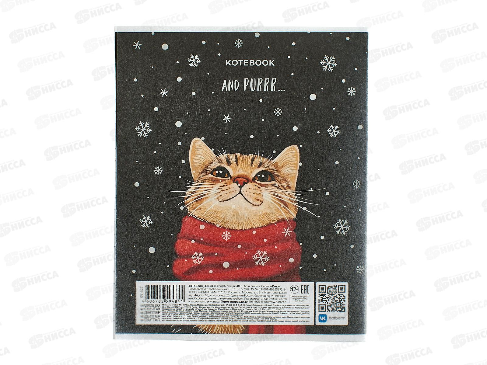 Тетрадь 48л лин. Hatber Котэ,091627*5/60