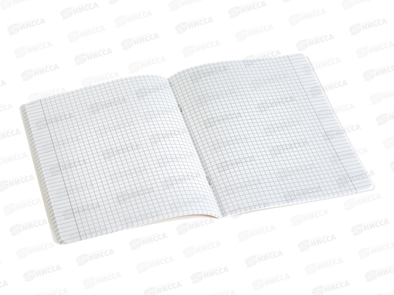 Тетрадь 48л кл. ПЗБМ Модные зверюшки,021498*5/50