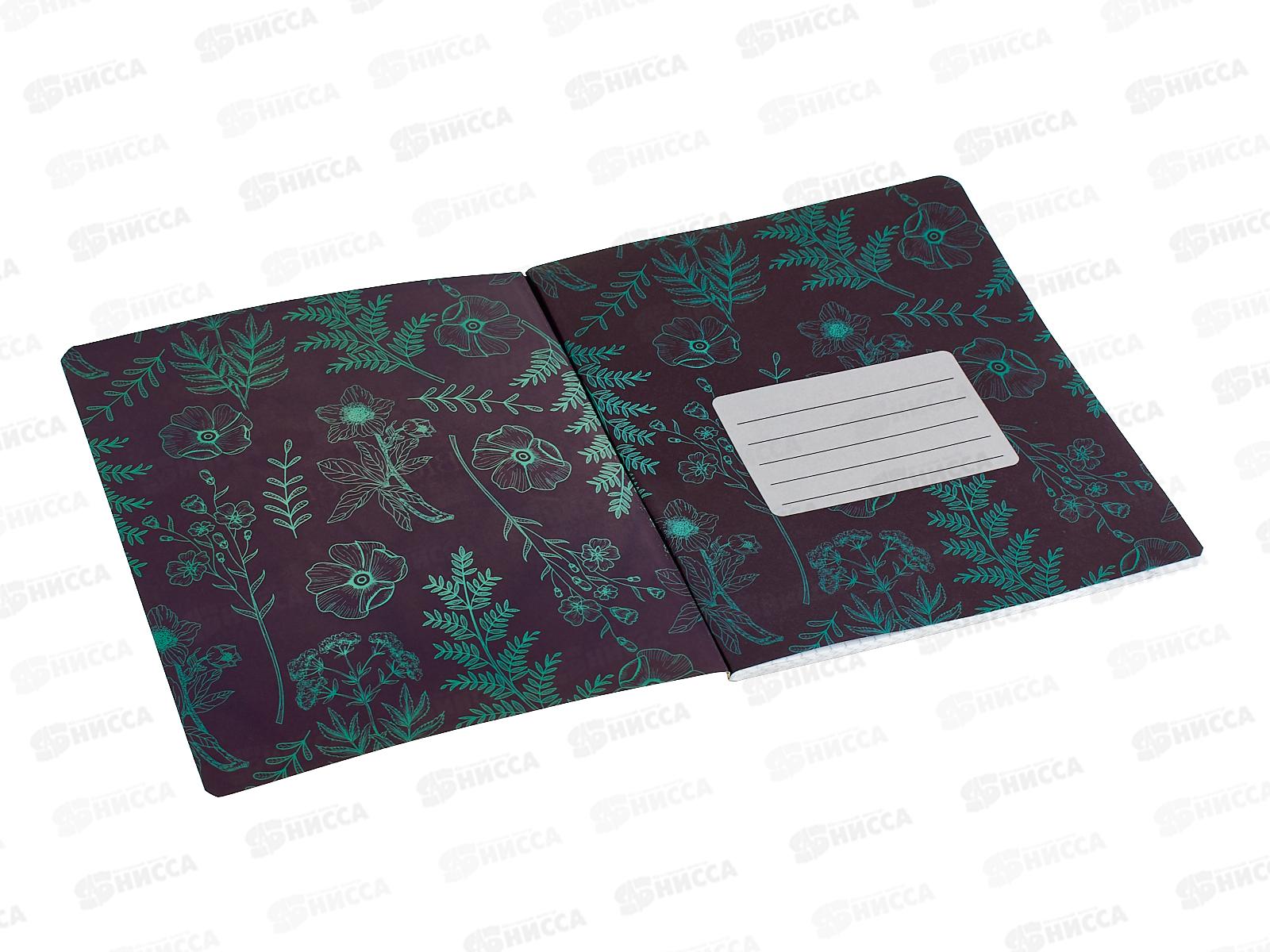 Тетрадь 48л кл. ПЗБМ Под стеклом,021450*5/50