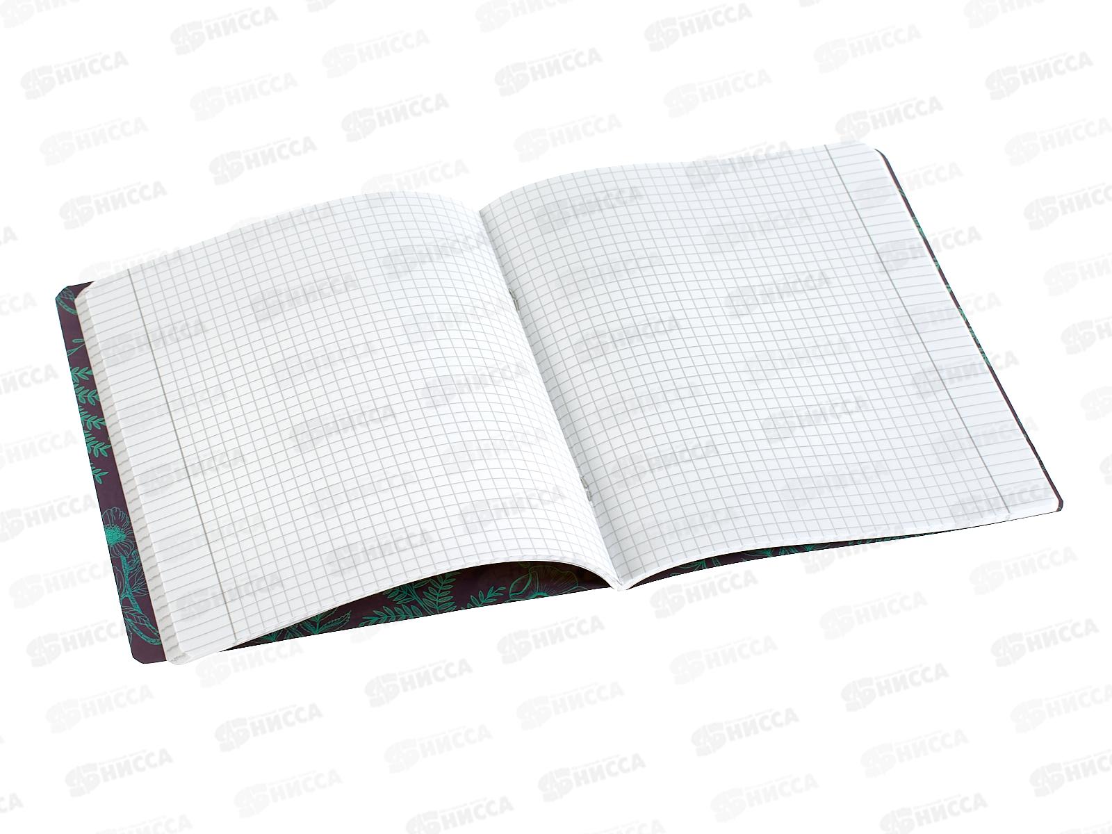 Тетрадь 48л кл. ПЗБМ Под стеклом,021450*5/50