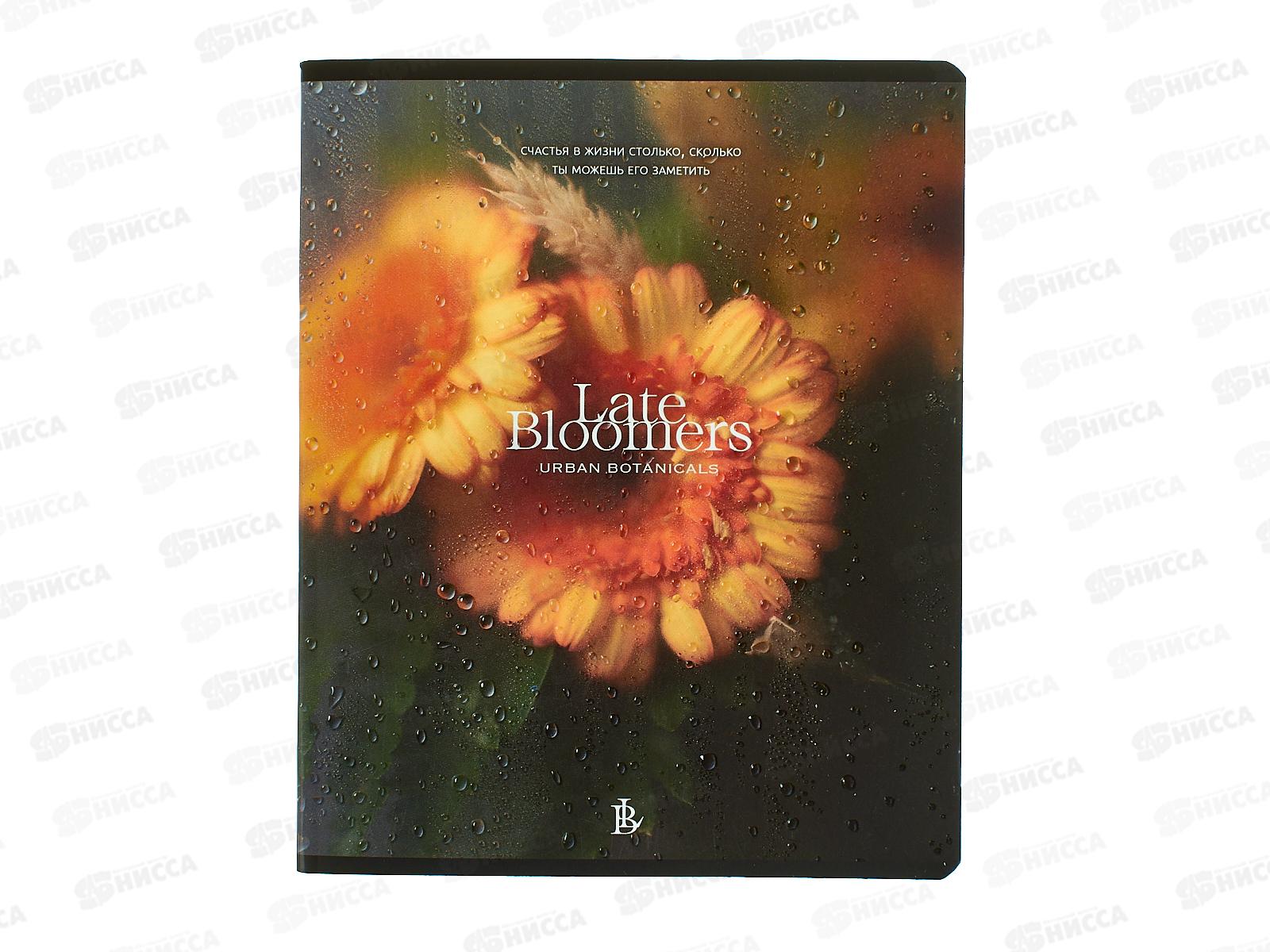 Тетрадь 48л кл. ПЗБМ Под стеклом,021450*5/50