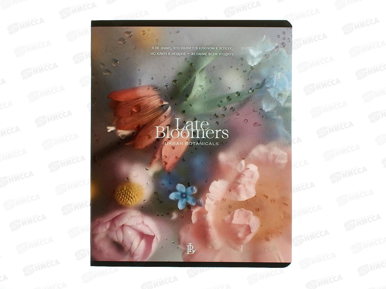 Тетрадь 48л кл. ПЗБМ Под стеклом,021450*5/50