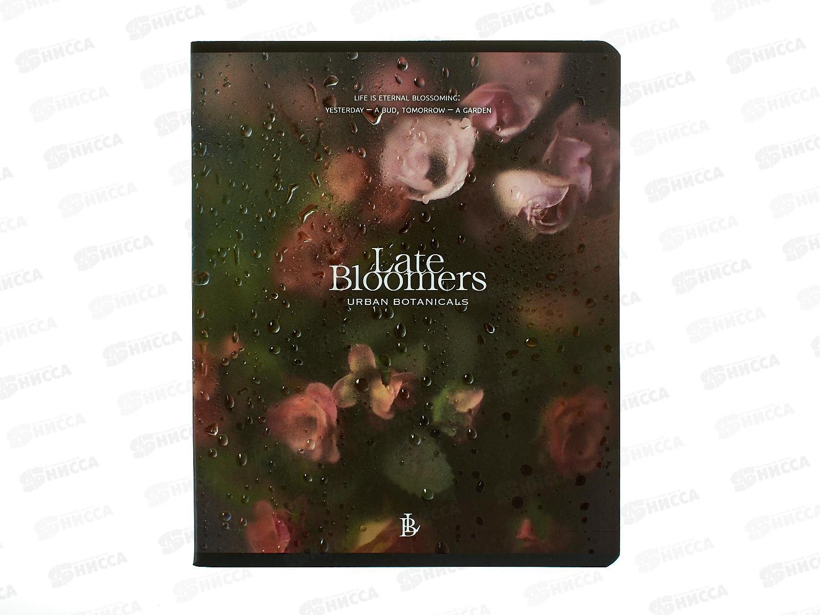 Тетрадь 48л кл. ПЗБМ Под стеклом,021450*5/50