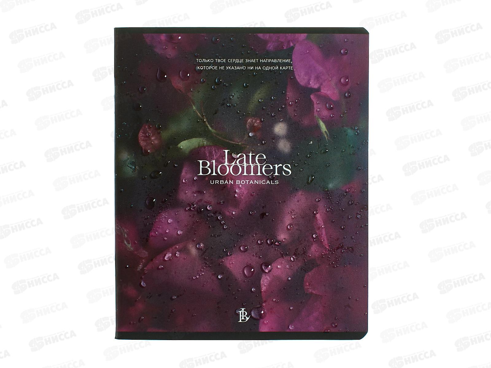 Тетрадь 48л кл. ПЗБМ Под стеклом,021450*5/50