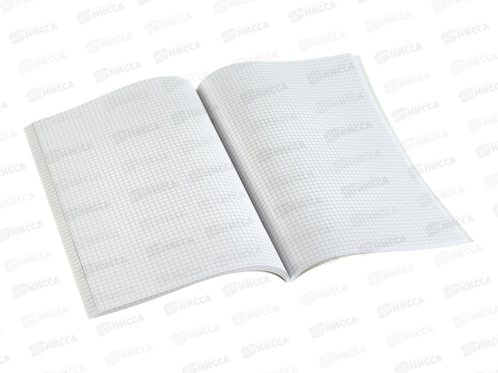 Тетрадь 80л кл. ПЗБМ А4 Россия! 022112 *3/30