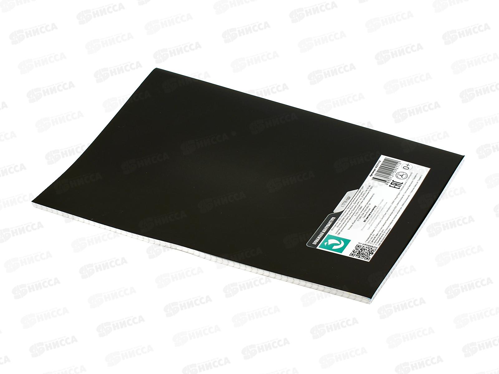 Тетрадь 80л кл. ПЗБМ А4 Россия! 022112 *3/30