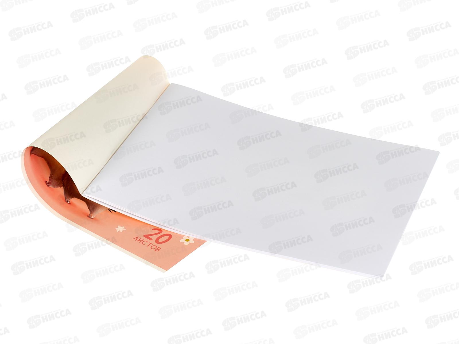 Альбом д/рис.20л АКАД Обнимашки  А4 скрепка  EAC-15352 *40