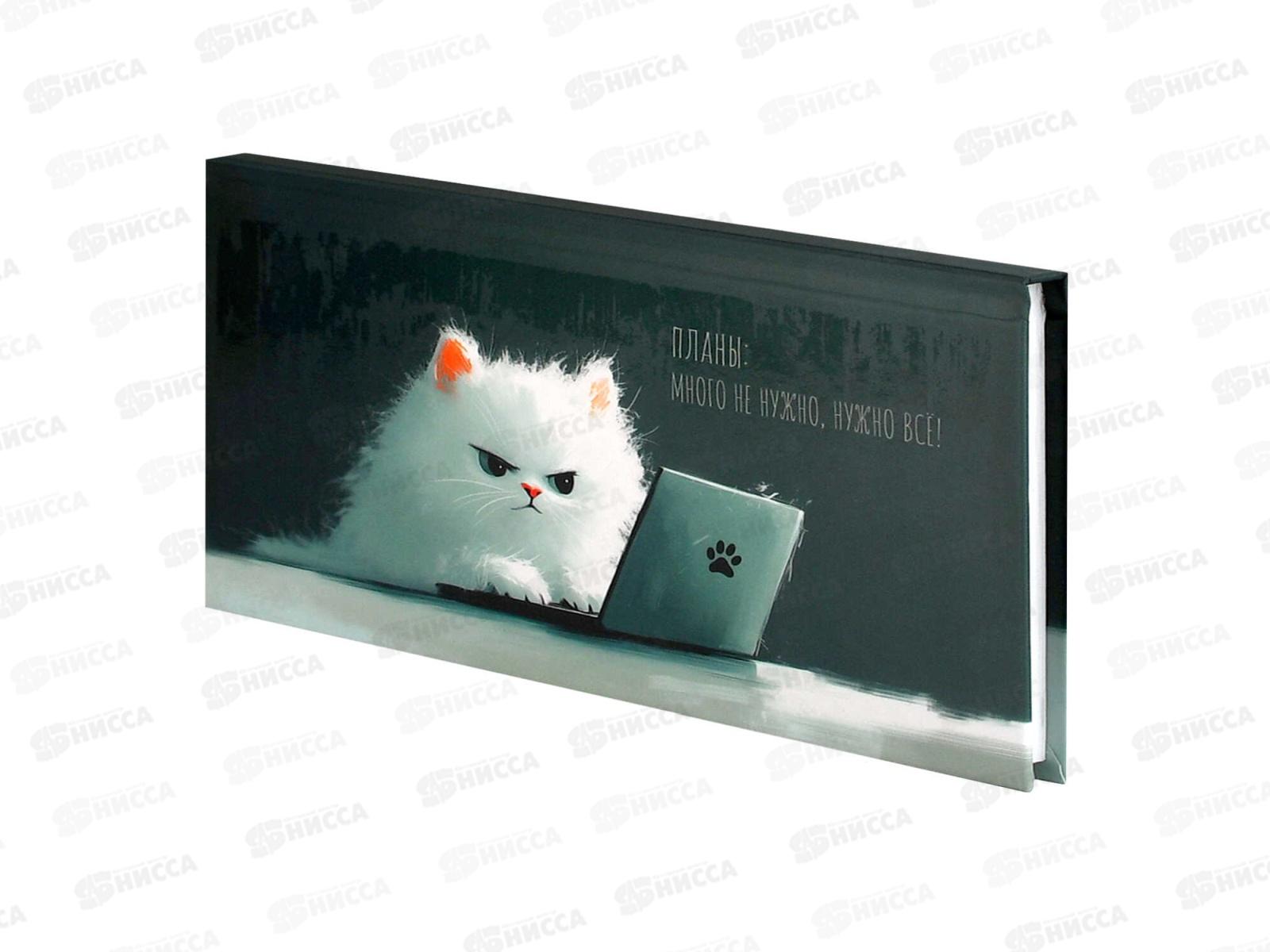 Еженедельник ФЕН недат.,64л, Кот с ноутбуком,71561*45