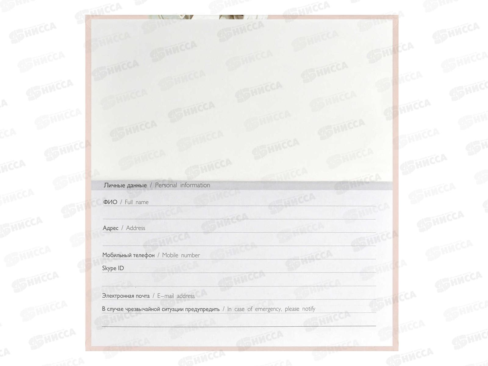 Еженедельник ФЕН недат.,64л, Мишка с кофе,71564*45